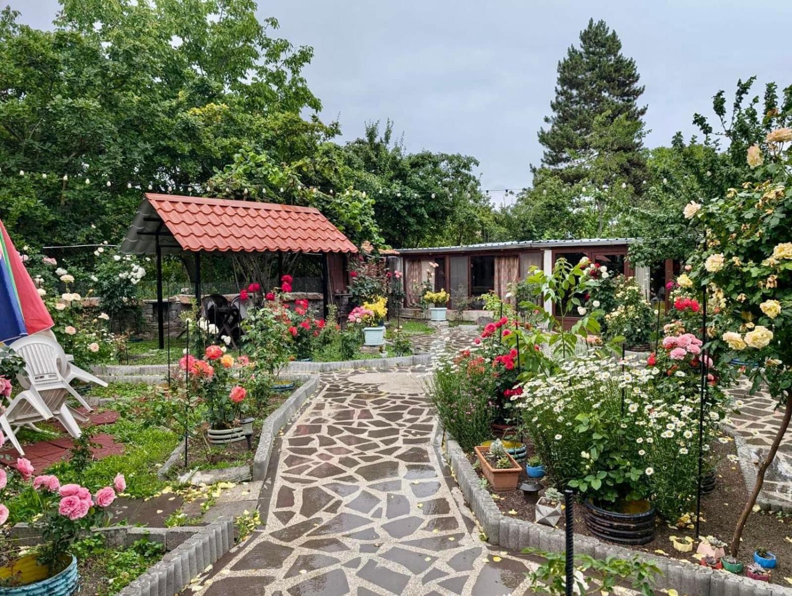 Hotel Artist'S House Tetritskaro Exterior foto